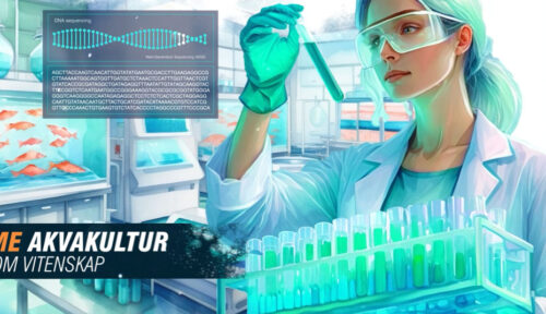 FHF – Havbruk 2024 Conference